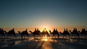 Holiday in Morocco